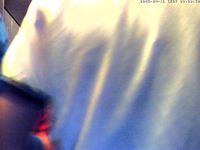 grab1113686975.jpg