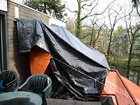 IMG_2593.jpg