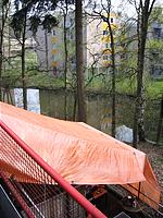 IMG_2594.jpg