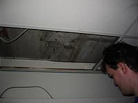 IMG_2621.jpg