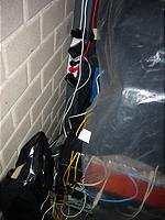 IMG_2637.jpg