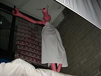 IMG_2662.jpg
