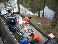IMG_2765.jpg