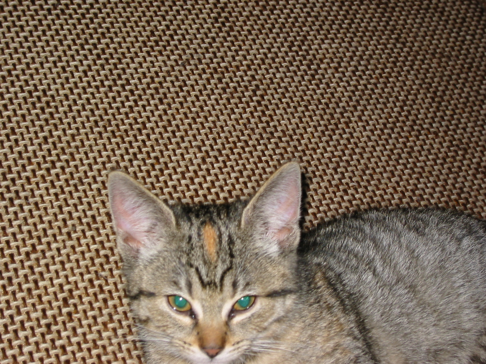 IMG_0319.JPG