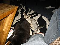 IMG_0305.JPG