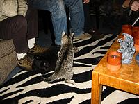 IMG_0306.JPG