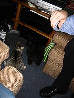 IMG_0307.JPG