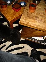 IMG_0309.JPG