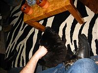 IMG_0310.JPG
