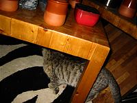 IMG_0311.JPG