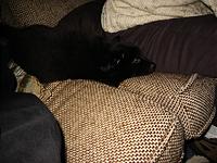 IMG_0312.JPG