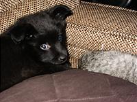 IMG_0317.JPG