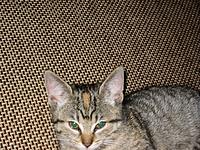 IMG_0319.JPG
