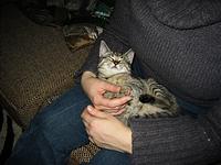 IMG_0320.JPG
