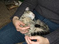 IMG_0321.JPG