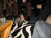 IMG_0322.JPG