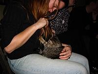 IMG_0348.JPG