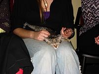 IMG_0354.JPG