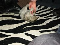 IMG_0358.JPG