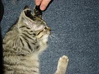 IMG_0360.JPG