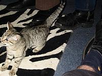 IMG_0361.JPG