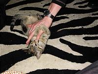 IMG_0362.JPG