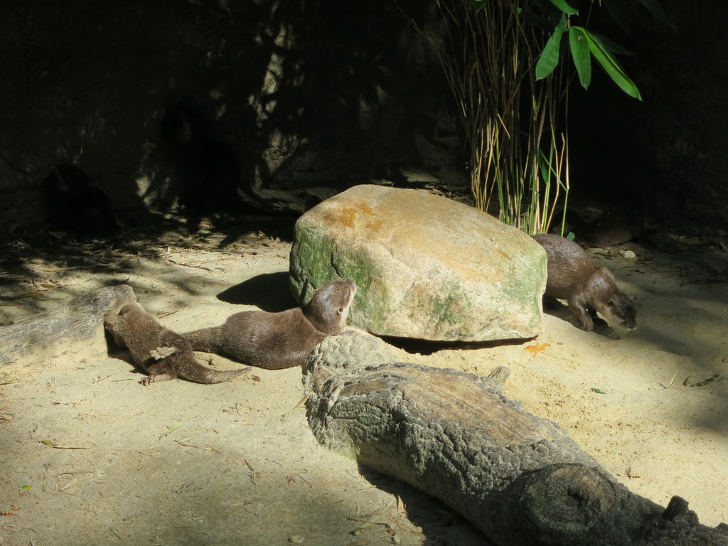 IMG_2824.jpg