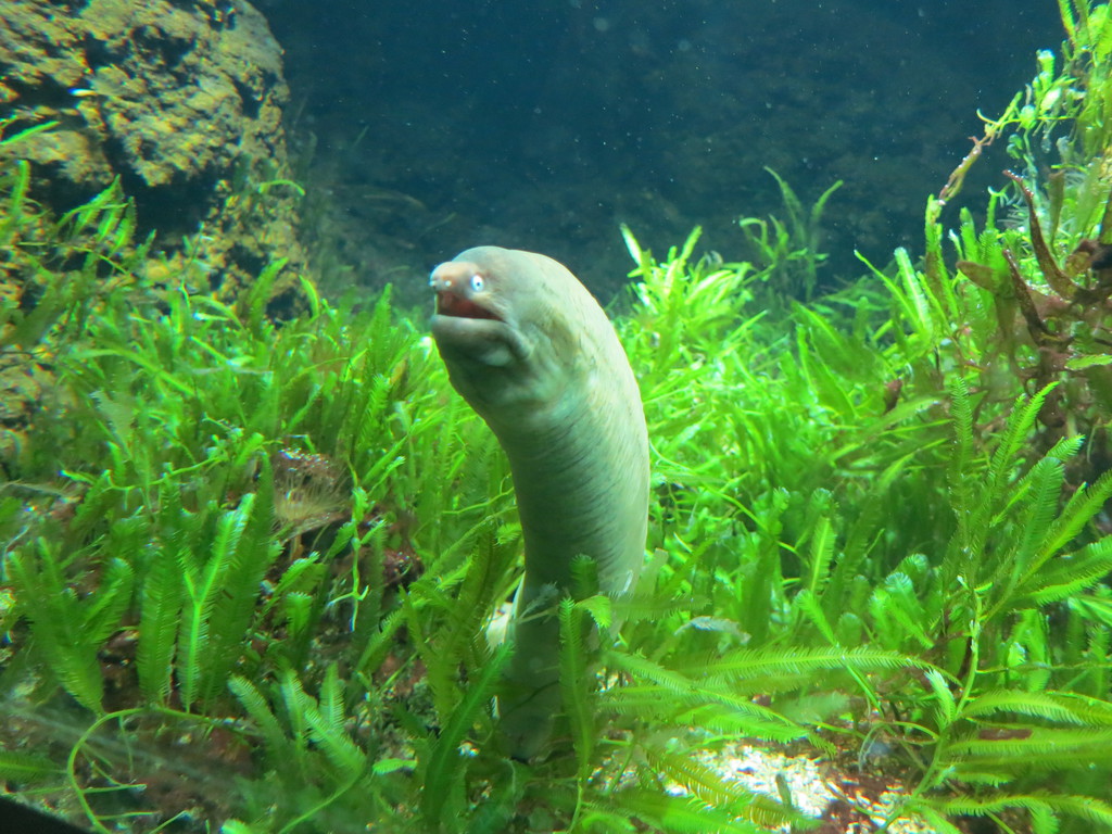 IMG_2837.jpg