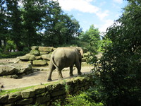 IMG_2772.jpg