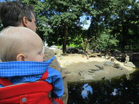 IMG_2776.jpg