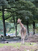 IMG_2785.jpg