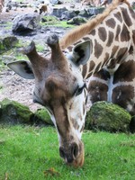 IMG_2786.jpg
