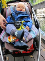 IMG_2800.jpg