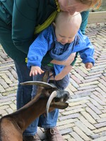 IMG_2808.jpg