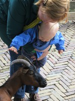 IMG_2809.jpg