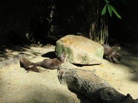 IMG_2824.jpg