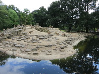 IMG_2832.jpg