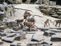 IMG_2835.jpg