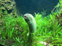IMG_2837.jpg