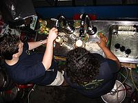 IMG_1529.jpg