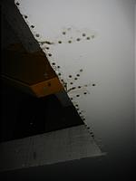 IMG_1647.jpg