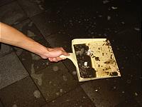 IMG_1684.jpg