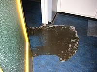 IMG_1700.jpg