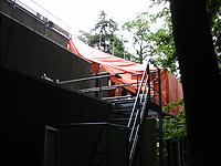 IMG_1710.jpg