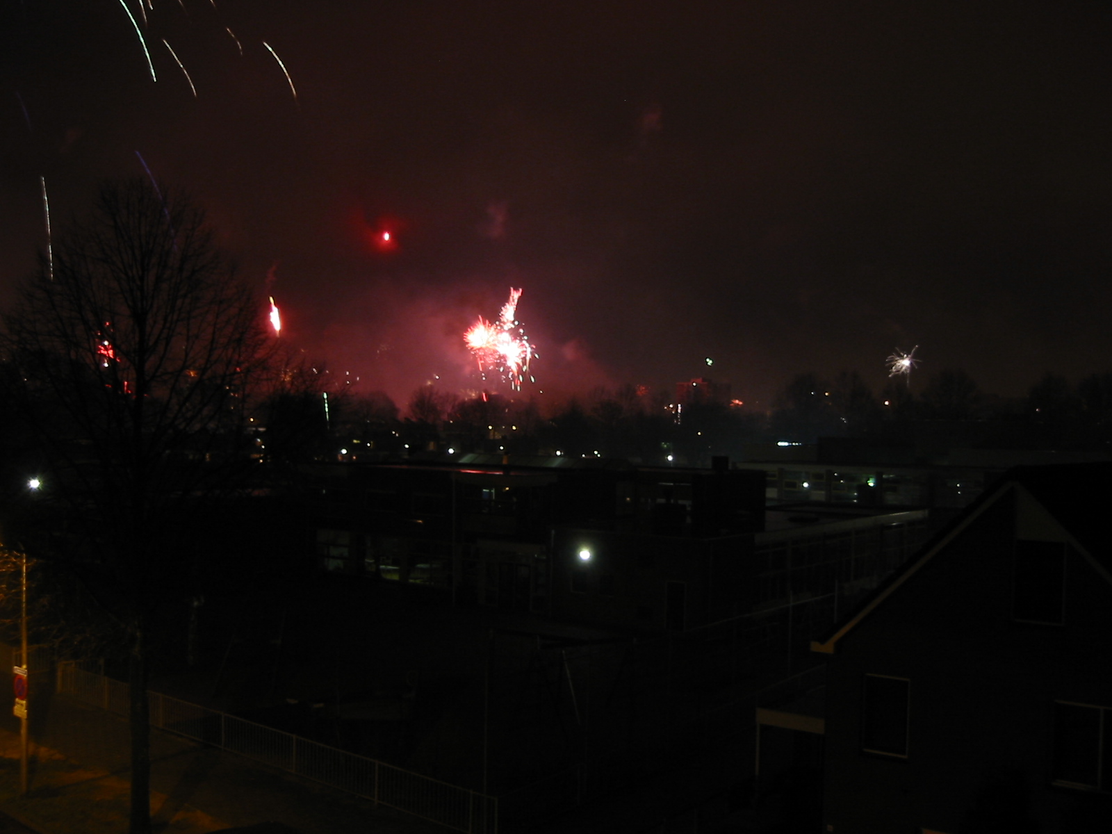 IMG_2273.jpg