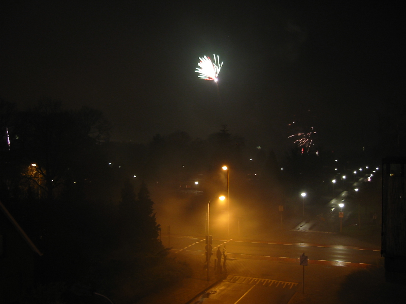 IMG_2278.jpg