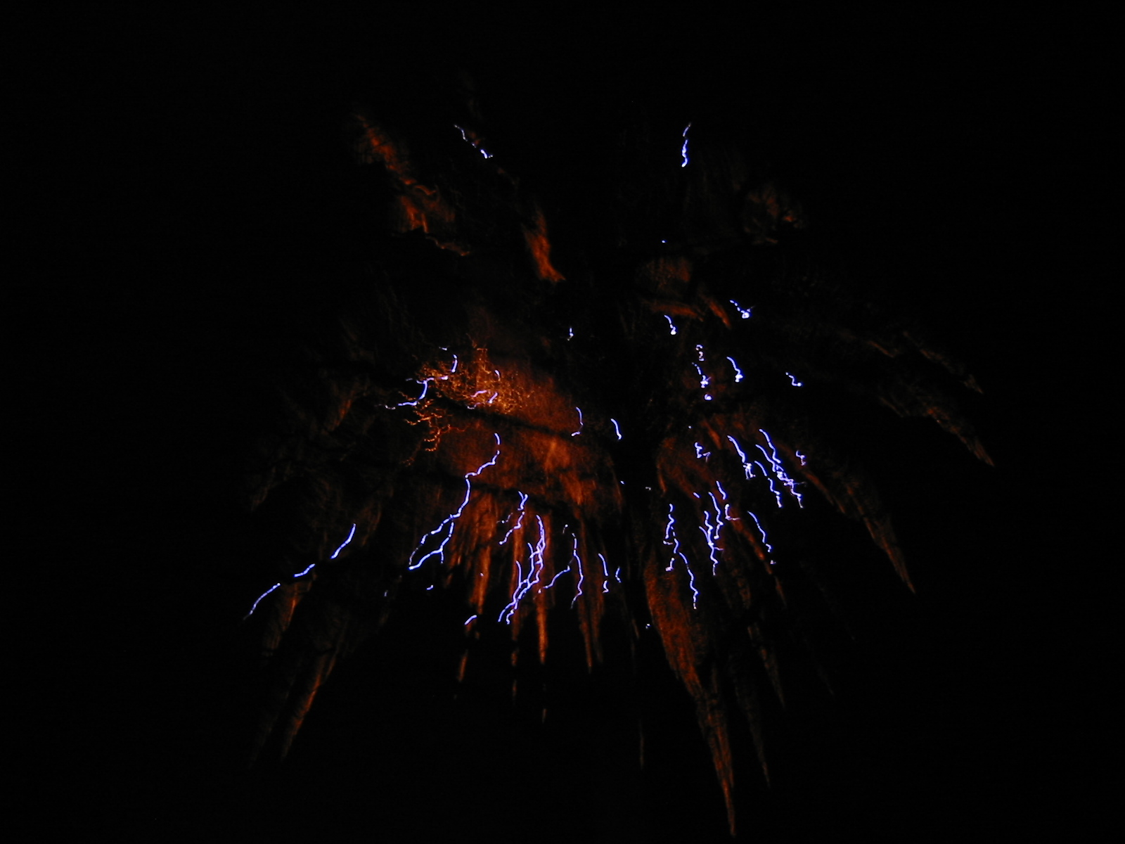 IMG_3713.jpg