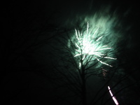 IMG_3693.jpg
