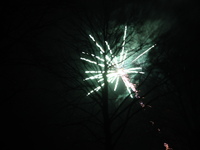 IMG_3695.jpg