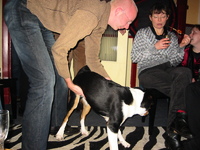 IMG_3739.jpg